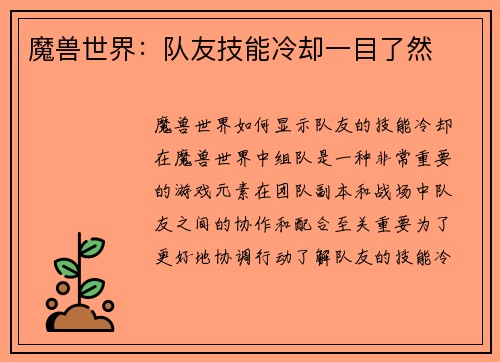 魔兽世界：队友技能冷却一目了然